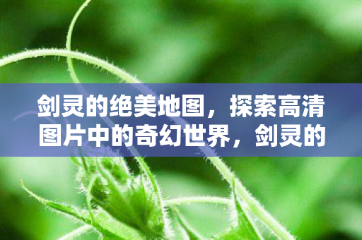 剑灵的绝美地图带你探索奇幻世界高清图片图片
