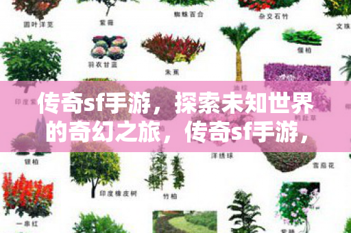 传奇sf手游，探索未知世界的奇幻之旅，传奇sf手游，探索未知世界的奇幻冒险之旅