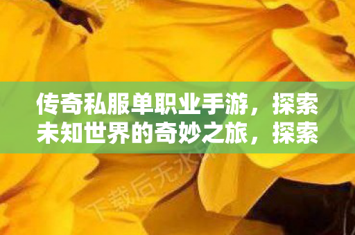 传奇私服单职业手游,探索未知世界的奇妙之旅,探索未知世界的奇妙之旅,传奇私服单职业手游 传奇私服单职业手游,探索未知世界的奇妙之旅,探索未知世界的奇妙之旅,传奇私服单职业手游