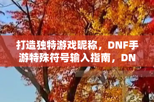 DNF手游特殊符号输入指南图片