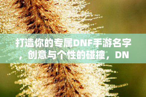 打造你的专属DNF手游名字图片