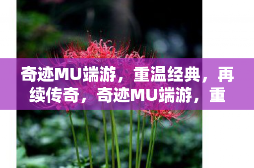 奇迹MU端游,重温经典,再续传奇,奇迹MU端游,重温经典,再续传奇 奇迹MU端游,重温经典,再续传奇,奇迹MU端游,重温经典,再续传奇