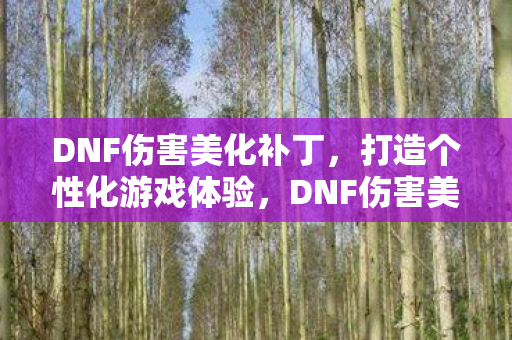 DNF伤害美化补丁,打造个性化游戏体验,DNF伤害美化补丁,打造个性化游戏体验 DNF伤害美化补丁,打造个性化游戏体验,DNF伤害美化补丁,打造个性化游戏体验