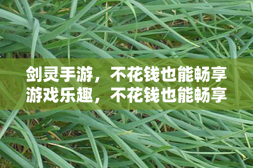 剑灵手游,不花钱也能畅享游戏乐趣,不花钱也能畅享游戏乐趣,体验剑灵手游 剑灵手游,不花钱也能畅享游戏乐趣,不花钱也能畅享游戏乐趣,体验剑灵手游