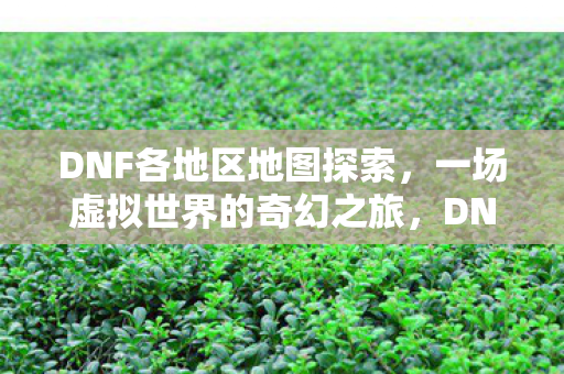 一场虚拟世界的奇幻之旅图片