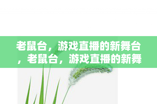 老鼠台,游戏直播的新舞台,老鼠台,游戏直播的新舞台 老鼠台,游戏直播的新舞台,老鼠台,游戏直播的新舞台