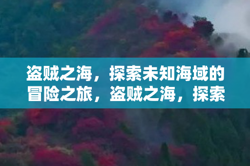 盗贼之海,探索未知海域的冒险之旅,盗贼之海,探索未知海域的惊险冒险之旅 盗贼之海,探索未知海域的冒险之旅,盗贼之海,探索未知海域的惊险冒险之旅