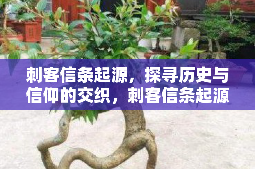 刺客信条起源,探寻历史与信仰的交织,刺客信条起源,探寻历史与信仰的交织之旅 刺客信条起源,探寻历史与信仰的交织,刺客信条起源,探寻历史与信仰的交织之旅
