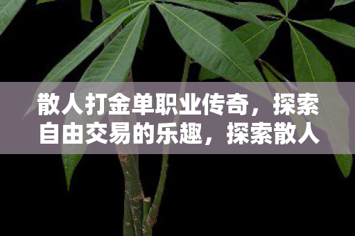 探索散人打金单职业传奇的自由交易乐趣图片