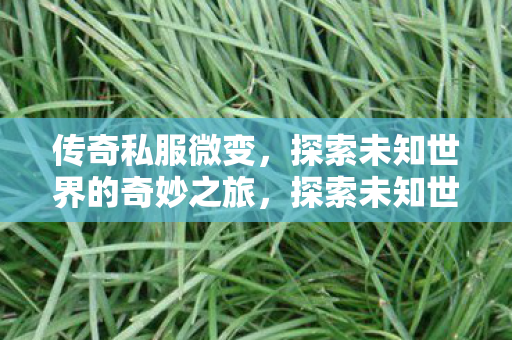 探索未知世界的奇妙之旅图片