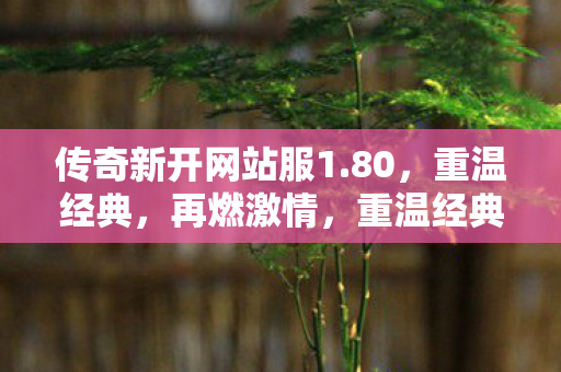 传奇新开网站服1图片