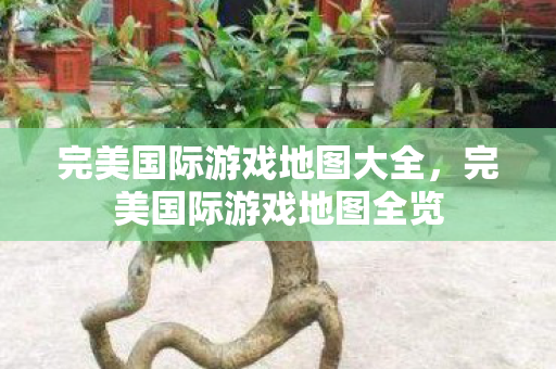 完美国际游戏地图大全,完美国际游戏地图全览 完美国际游戏地图大全,完美国际游戏地图全览