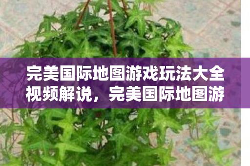 完美国际地图游戏玩法大全视频解说图片