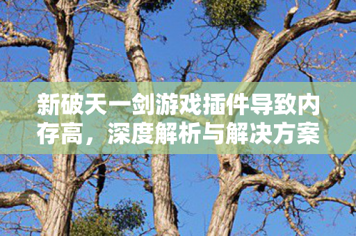 新破天一剑游戏插件内存高问题解析及解决方案图片
