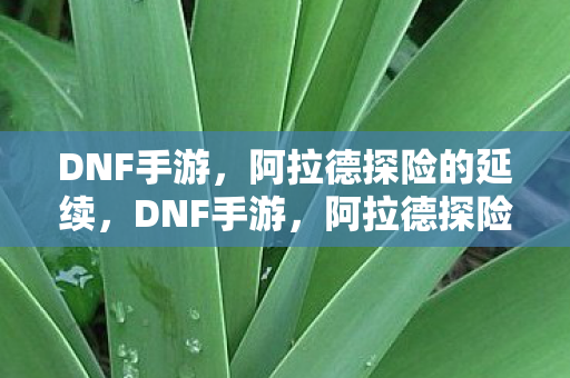 阿拉德探险的延续图片