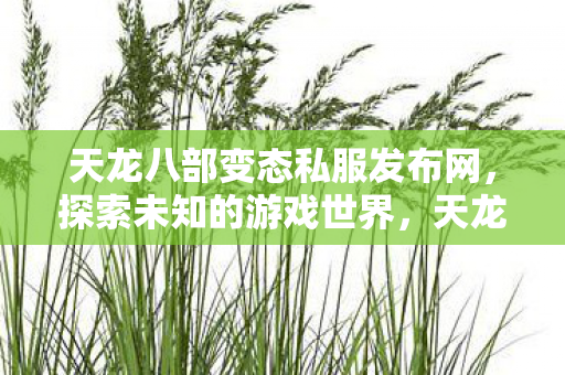 天龙八部变态私服发布网，探索未知的游戏世界，天龙八部变态私服发布网，探索未知的游戏世界