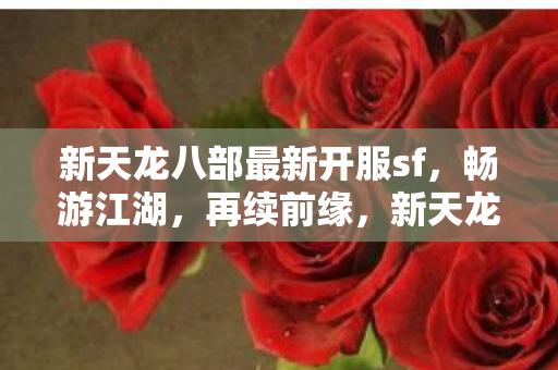 新天龙八部最新开服sf,畅游江湖,再续前缘,新天龙八部最新私服开启,畅游江湖再续前缘 新天龙八部最新开服sf,畅游江湖,再续前缘,新天龙八部最新私服开启,畅游江湖再续前缘