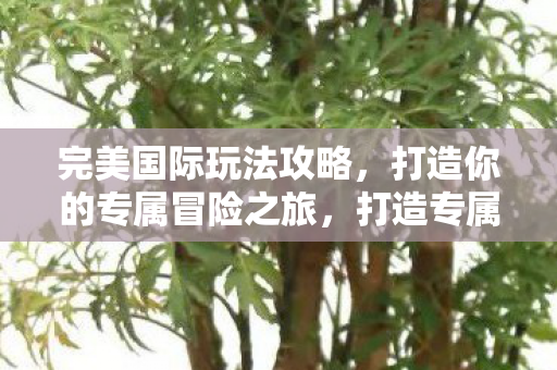 完美国际玩法攻略,打造你的专属冒险之旅,打造专属冒险之旅,完美国际玩法攻略 完美国际玩法攻略,打造你的专属冒险之旅,打造专属冒险之旅,完美国际玩法攻略