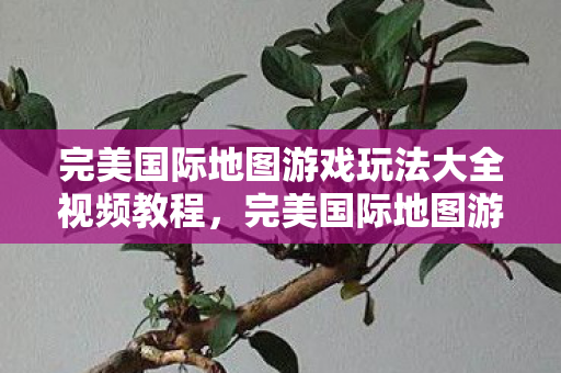 完美国际地图游戏玩法大全视频教程图片
