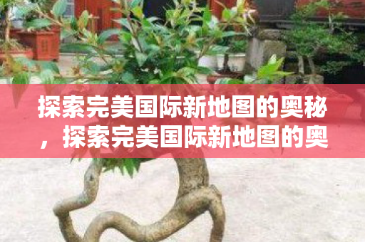 探索完美国际新地图的奥秘,探索完美国际新地图的奥秘 探索完美国际新地图的奥秘,探索完美国际新地图的奥秘