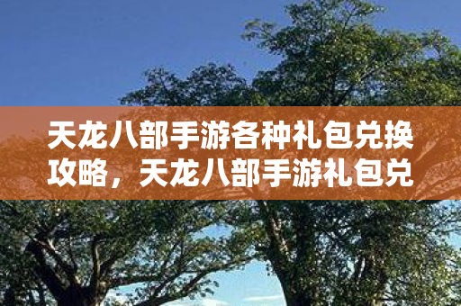 天龙八部手游各种礼包兑换攻略图片