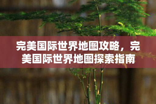 完美国际世界地图探索指南图片