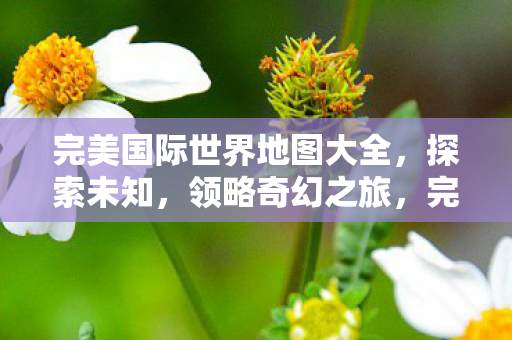 完美国际世界地图大全,探索未知,领略奇幻之旅,完美国际世界地图探索奇幻之旅 完美国际世界地图大全,探索未知,领略奇幻之旅,完美国际世界地图探索奇幻之旅