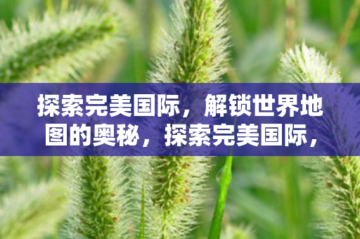 探索完美国际,解锁世界地图的奥秘,探索完美国际,解锁世界地图的奥秘 探索完美国际,解锁世界地图的奥秘,探索完美国际,解锁世界地图的奥秘