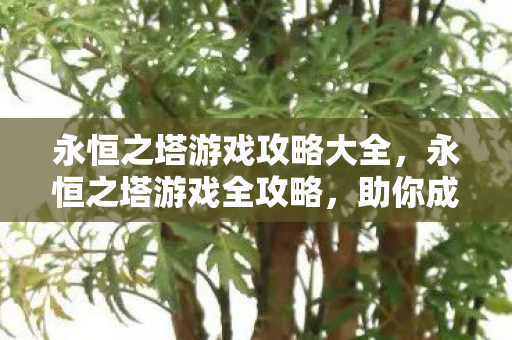 永恒之塔游戏攻略大全图片