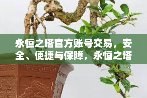 永恒之塔官方账号交易图片
