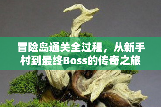冒险岛通关全过程,从新手村到最终Boss的传奇之旅,冒险岛,从新手村到最终Boss的传奇之旅 冒险岛通关全过程,从新手村到最终Boss的传奇之旅,冒险岛,从新手村到最终Boss的传奇之旅