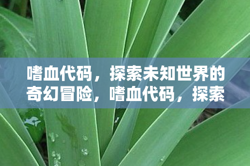 嗜血代码,探索未知世界的奇幻冒险,嗜血代码,探索未知世界的奇幻冒险之旅 嗜血代码,探索未知世界的奇幻冒险,嗜血代码,探索未知世界的奇幻冒险之旅