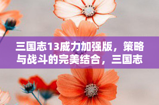 三国志13威力加强版,策略与战斗的完美结合,三国志13威力加强版,策略与战斗的完美结合 三国志13威力加强版,策略与战斗的完美结合,三国志13威力加强版,策略与战斗的完美结合