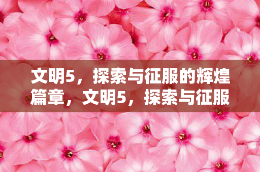 文明5,探索与征服的辉煌篇章,文明5,探索与征服的辉煌篇章 文明5,探索与征服的辉煌篇章,文明5,探索与征服的辉煌篇章