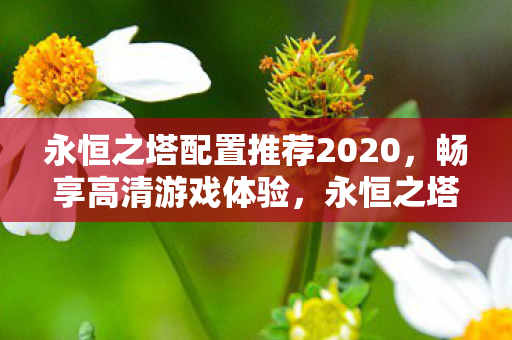 永恒之塔2020高清游戏体验图片