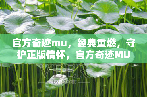 官方奇迹MU经典重燃图片