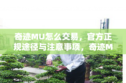 奇迹MU官方交易途径与注意事项全解析图片