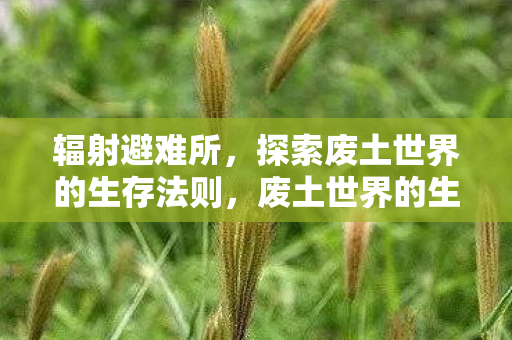 辐射避难所,探索废土世界的生存法则,废土世界的生存法则,辐射避难所中的生存挑战 辐射避难所,探索废土世界的生存法则,废土世界的生存法则,辐射避难所中的生存挑战