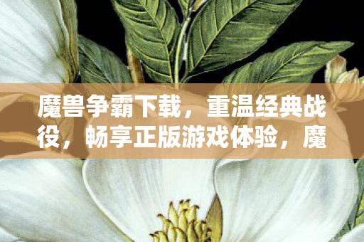 魔兽争霸下载,重温经典战役,畅享正版游戏体验,魔兽争霸,重温经典战役,畅享正版游戏体验 魔兽争霸下载,重温经典战役,畅享正版游戏体验,魔兽争霸,重温经典战役,畅享正版游戏体验