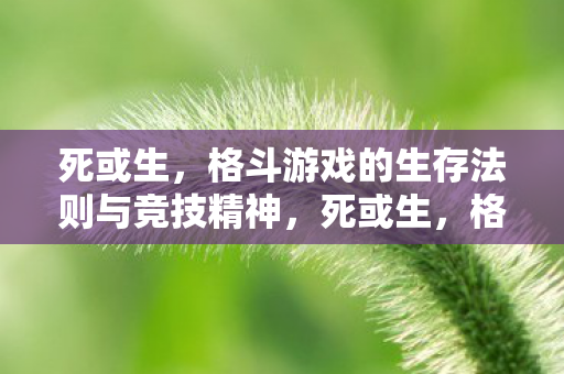 死或生，格斗游戏的生存法则与竞技精神，死或生，格斗游戏的生存法则与竞技精神
