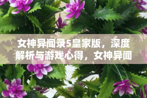 女神异闻录5皇家版，深度解析与游戏心得，女神异闻录5皇家版深度解析与游戏心得