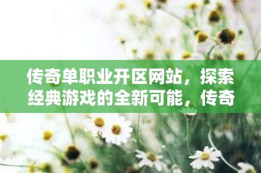 传奇单职业开区网站,探索经典游戏的全新可能,传奇单职业开区网站,探索经典游戏的全新可能 传奇单职业开区网站,探索经典游戏的全新可能,传奇单职业开区网站,探索经典游戏的全新可能
