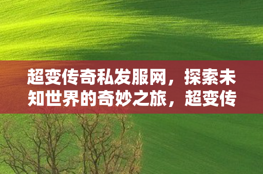 超变传奇私发服网,探索未知世界的奇妙之旅,超变传奇私发服网,开启探索未知世界的奇妙之旅 超变传奇私发服网,探索未知世界的奇妙之旅,超变传奇私发服网,开启探索未知世界的奇妙之旅
