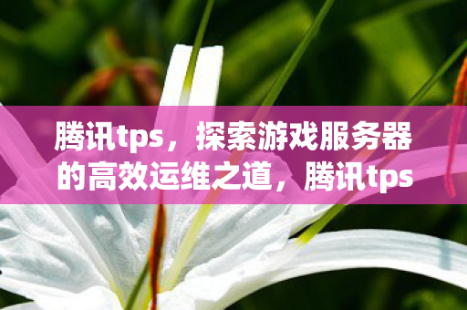 腾讯tps,探索游戏服务器的高效运维之道,腾讯tps,探索游戏服务器高效运维之道 腾讯tps,探索游戏服务器的高效运维之道,腾讯tps,探索游戏服务器高效运维之道