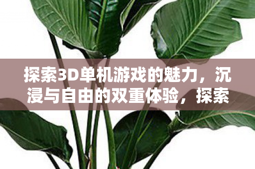 探索3D单机游戏的魅力,沉浸与自由的双重体验,探索3D单机游戏的魅力,沉浸与自由的双重体验 探索3D单机游戏的魅力,沉浸与自由的双重体验,探索3D单机游戏的魅力,沉浸与自由的双重体验