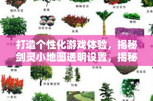 揭秘剑灵小地图透明设置图片