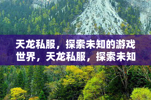 天龙私服,探索未知的游戏世界,天龙私服,探索未知的游戏世界之旅 天龙私服,探索未知的游戏世界,天龙私服,探索未知的游戏世界之旅