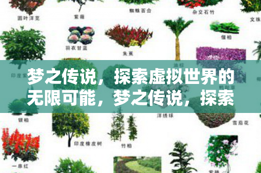 梦之传说,探索虚拟世界的无限可能,梦之传说,探索虚拟世界的无限可能 梦之传说,探索虚拟世界的无限可能,梦之传说,探索虚拟世界的无限可能