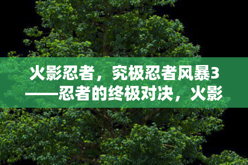 火影忍者,究极忍者风暴3——忍者的终极对决,火影忍者,究极忍者风暴3忍者终极对决震撼来袭 火影忍者,究极忍者风暴3——忍者的终极对决,火影忍者,究极忍者风暴3忍者终极对决震撼来袭