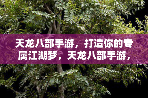 天龙八部手游，打造你的专属江湖梦，天龙八部手游，打造专属江湖梦